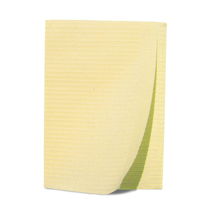 Patient Bibs, 2-Ply Tissue/ 1-Ply Poly, 13