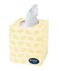 Surpass BOUTIQUE® Facial Tissue, White, 2-Ply, Pop-IP Box, 110 sheets/bx, 36 bx/cs