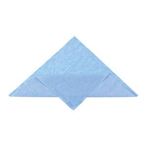 Wrap, Sterilization, CH100, 24 x 24, Single Layer, Blue, SMS, 500/cs