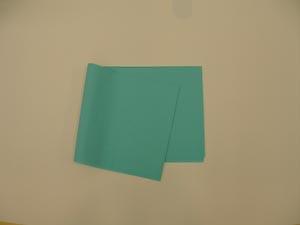 Drape Sheet, Poly, 2-Ply, 40