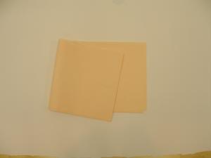 Drape Sheet, 40